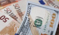 Döviz mevduatı 3 milyar dolar arttı: Artışın yüzde 88'i şirketlerden geldi