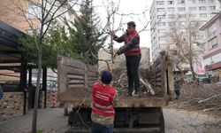 Keçiören Belediyesi yeşil alanlardaki bakım çalışmalarını sürdürüyor