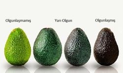 Avokado nasıl yenir? Avokado nasıl kesilir?
