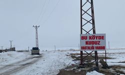 Bitlis'te kuduz nedeniyle bir köy karantina altına alındı!