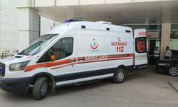 Bursa'da boş arazide 10 günlük bebek bulundu