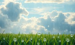 Rüyada dolu yağdığını görmek ne anlama gelir?