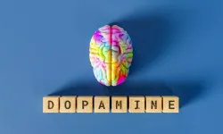 Dopamin nedir? Dopamin detoksu nedir?