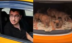 İstinaftan köpekleri öldüren Duman davasına bozma kararı çıktı