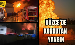 Düzce'de korkutan yangın! 2,5 saatte söndürüldü