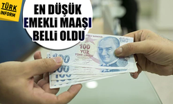 En düşük emekli maaşının 20 bin lira olması komisyonda kabul edildi