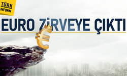 Euro zirveye çıktı!