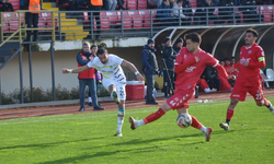 Fatsa Belediyespor Teknik Direktörü Ali Çalış: "Deplasmanda alınan puan önemli"