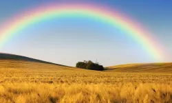 Gökkuşağının büyüleyici dansı, yağmur sonrası mucize