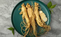 Ginseng nedir, ne işe yarar?