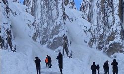 Hakkari-Van karayolunda çığ paniği! Ekipler seferber oldu