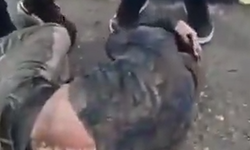 Nusaybin'de Türk bayrağını indiren şüpheli yakalandı