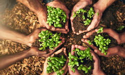 Karbon ayak izi nedir, iklim krizini nasıl etkiliyor?