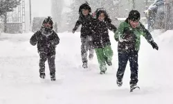 2 ilde eğitime kar tatili