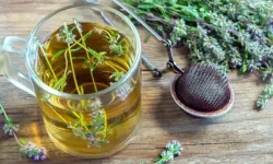 Kekik çayı nasıl yapılır? Faydaları, demleme teknikleri ve püf noktaları