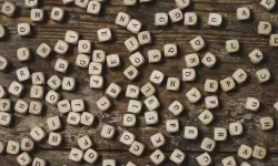 TDK 2025 verilerini açıkladı: Yılın en çok aranan kelimeleri belli oldu