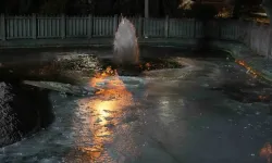 Çankaya Belediyesinden gülümseten açıklama: Kuğular için endişelenmeyin!