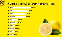 Rakamlarla Türkiye’nin limon gücü