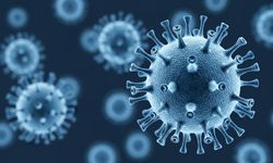 Ölüm vakaları artıran Nipah virüsü yayılıyor mu?