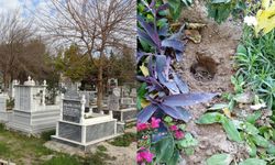 Ölüleri bile rahat bırakmadılar! Torbacıların yeni adresi şoke etti