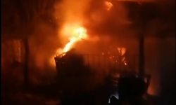 Ordu'da dehşet anları: Alev topu her şeyi yaktı, yuttu!