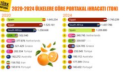 Türkiye portakal ihracatında küresel sahnede