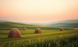 Rüyada saman görmek ne anlama gelir?