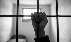 Hakkari'de kesinleşmiş hapis cezası bulunan 2 hükümlü yakalandı