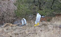 Korkunç cinayet: Cesedi parçalanmış poşetlere konulmuş! Kayıp baş aranıyor