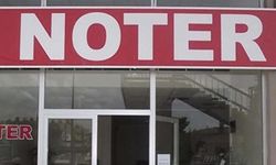 Noterlik mesleği: Prestijli bir kariyerin kapılarını aralayın