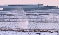 Karla kaplı araziyi kaçak elektrikle sulamışlar: Dronlarla tespit edildi!