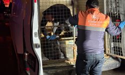 Sivas’ta yürek yakan yangın: 26 kedi yaşamını yitirdi