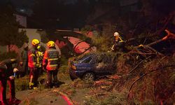 Faciaya ramak kaldı!