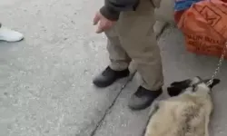 Ankara'da köpeği kamyonete bağlayarak sürükleyen sürücüye gözaltı!