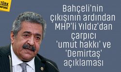 Bahçeli'nin çıkışının ardından MHP'li Yıldız'dan çarpıcı 'umut hakkı' ve 'Demirtaş' açıklaması