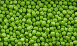 Lezzetli bir bezelye yemeği nasıl yapılıyor?