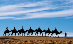 Suudi Arabistan milyonlarca pasaport dağıtıyor: Ama develere!