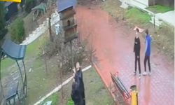 Adana Çukurova'da dört çocuk, parktaki kuş yuvalarını parçaladı