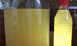 Evde sirke nasıl yapılıyor? İşte sırları