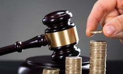 Tazminat hakkı kimlere tanınıyor?