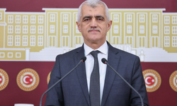 DEM Partili Gergerlioğlu’ndan insan hakları ve diyalog çağrısı