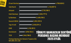 Türk bankacılık sektöründe mevduat verimliliği ( son 23 yıl)