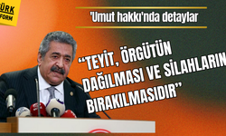 'Umut hakkı'nda detaylar! “Teyit, örgütün dağılması ve silahların bırakılmasıdır”