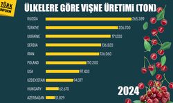 Ülkelere göre vişne üretimi (ton)
