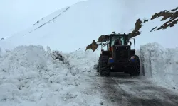 Ardahan'da kar esareti bitiyor: 3,5 aydır kapalı yol yeniden açılıyor