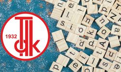 Bozayı nasıl yazılır? TDK’ye göre bozayı ayrı mı bitişik mi yazılır?