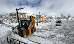 Van, Hakkari ve Bitlis’te 103 yerleşim yerine ulaşım kesildi