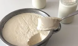 Yoğurt mayası nasıl yapılır, evde yoğurt mayalarken nelere dikkat edilir?