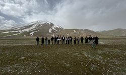 Bitlis'te öğrencilerin çiğdemler eşliğinde vadi gezisi