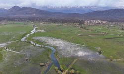 Beyşehir'de leyleklerle ilkbahar şöleni